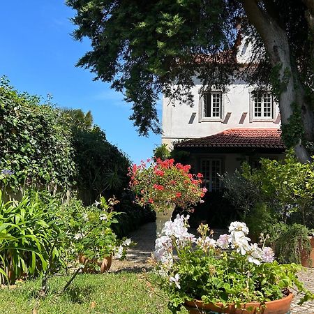 Villa Branca Jacinta Sintra Extérieur photo