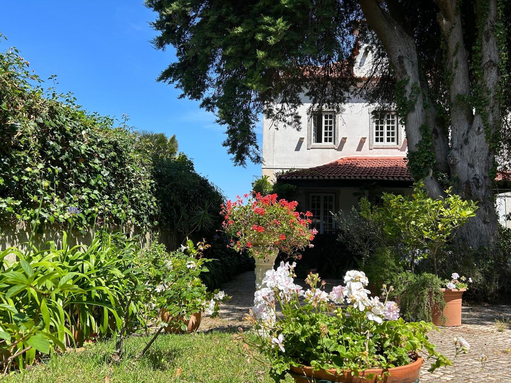 Villa Branca Jacinta Sintra Extérieur photo